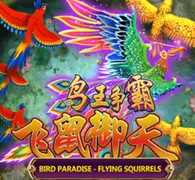 Bird Paradise — game at Judikiss888